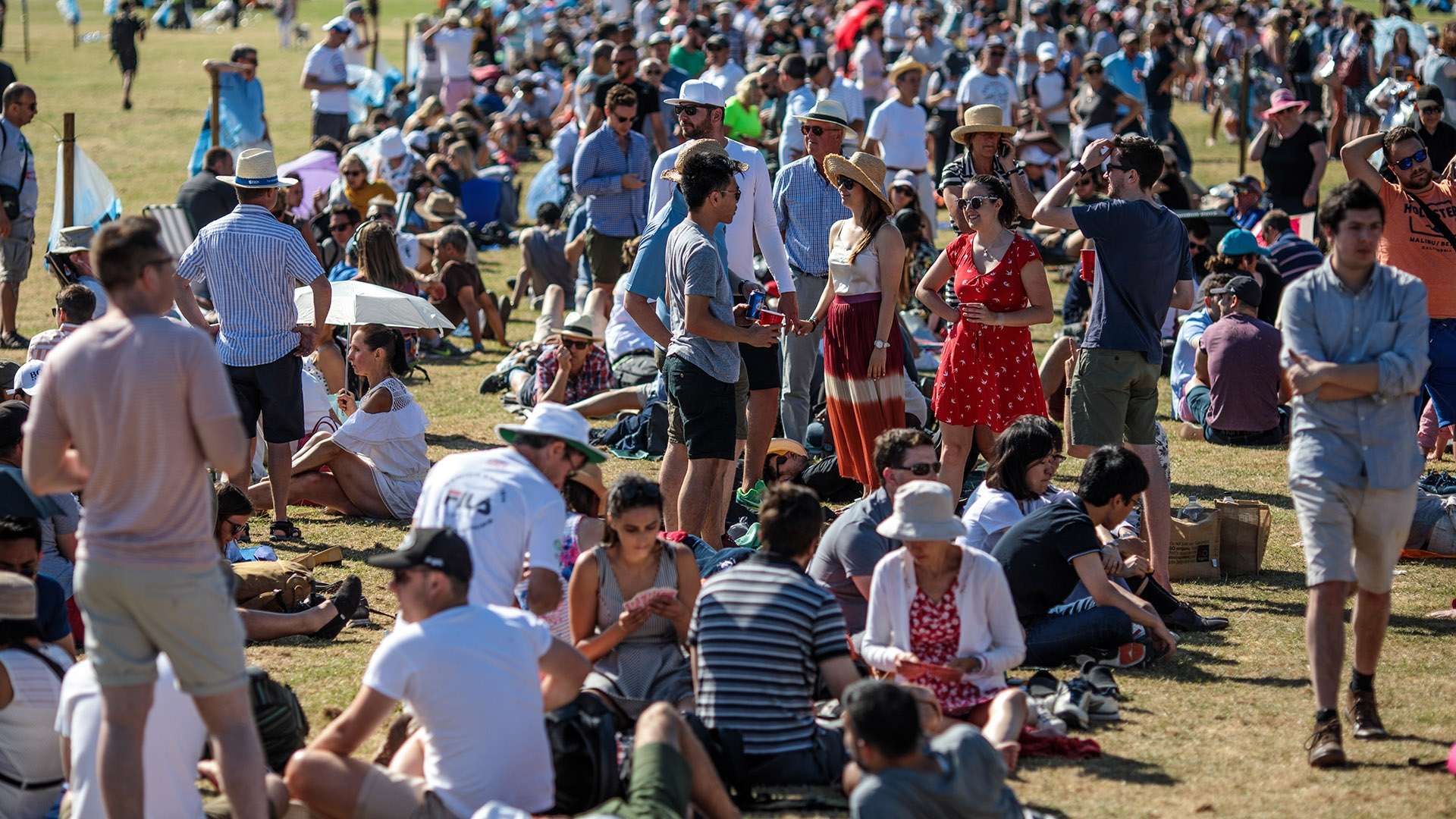 是适应问题 是适应问题